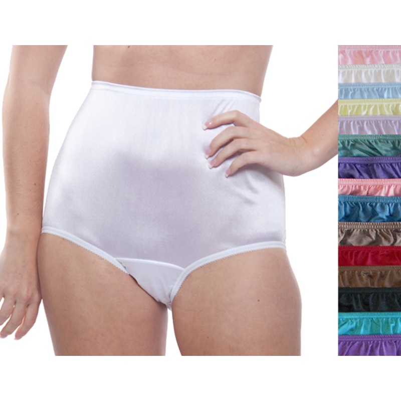 Nylon Brief Panty (Style 331/Plain Jane) Surprise Color 10 Pack 5