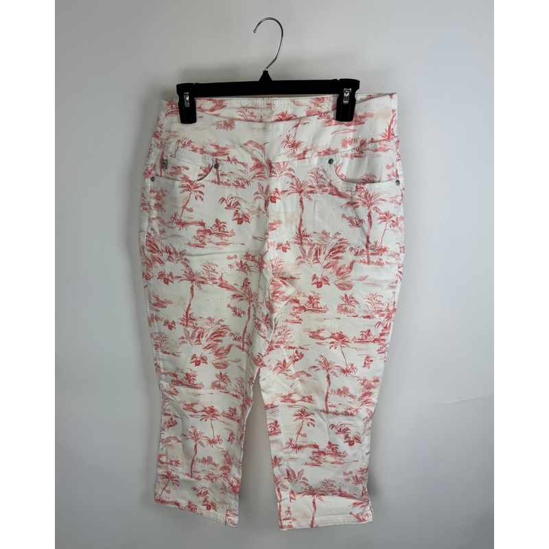 Pink Watercolor Tropical Capri Jeans – Size 12