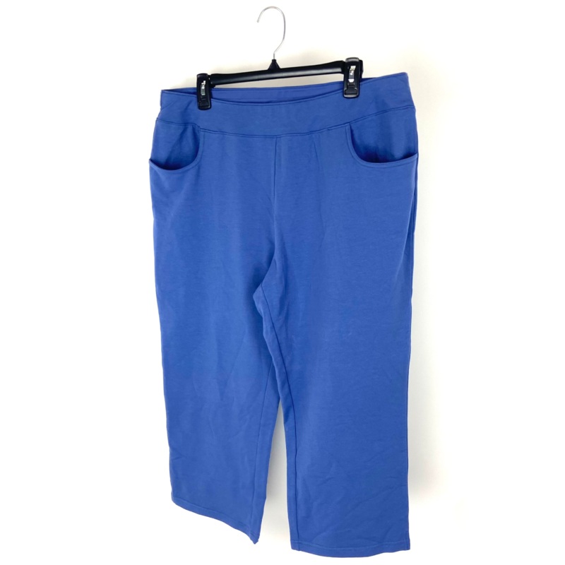Blue Cropped Pants – Size 14-16