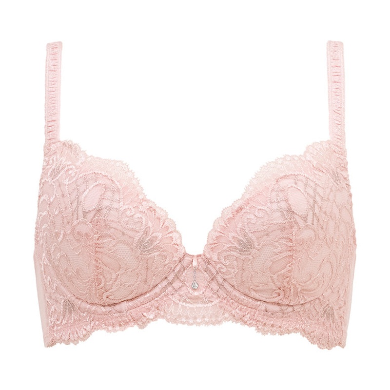 Belle Push-Up Plunge Bra 24A2 65C (US 30C) Gray
